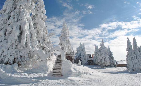 Studio Atlantic Apartment Pamporovo Luaran gambar