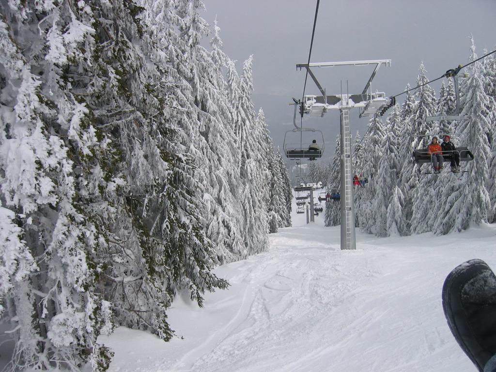 Studio Atlantic Apartment Pamporovo Luaran gambar