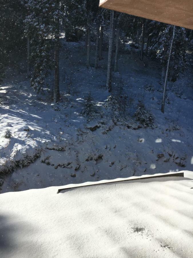 Studio Atlantic Apartment Pamporovo Luaran gambar
