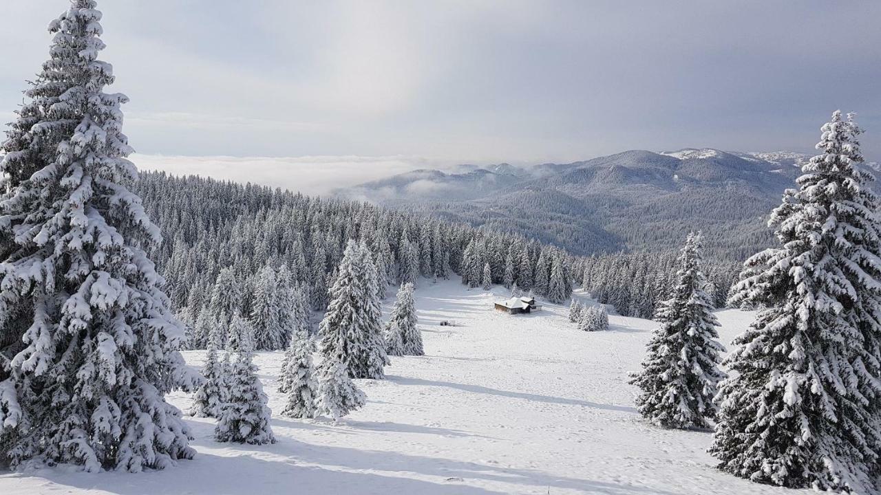 Studio Atlantic Apartment Pamporovo Luaran gambar