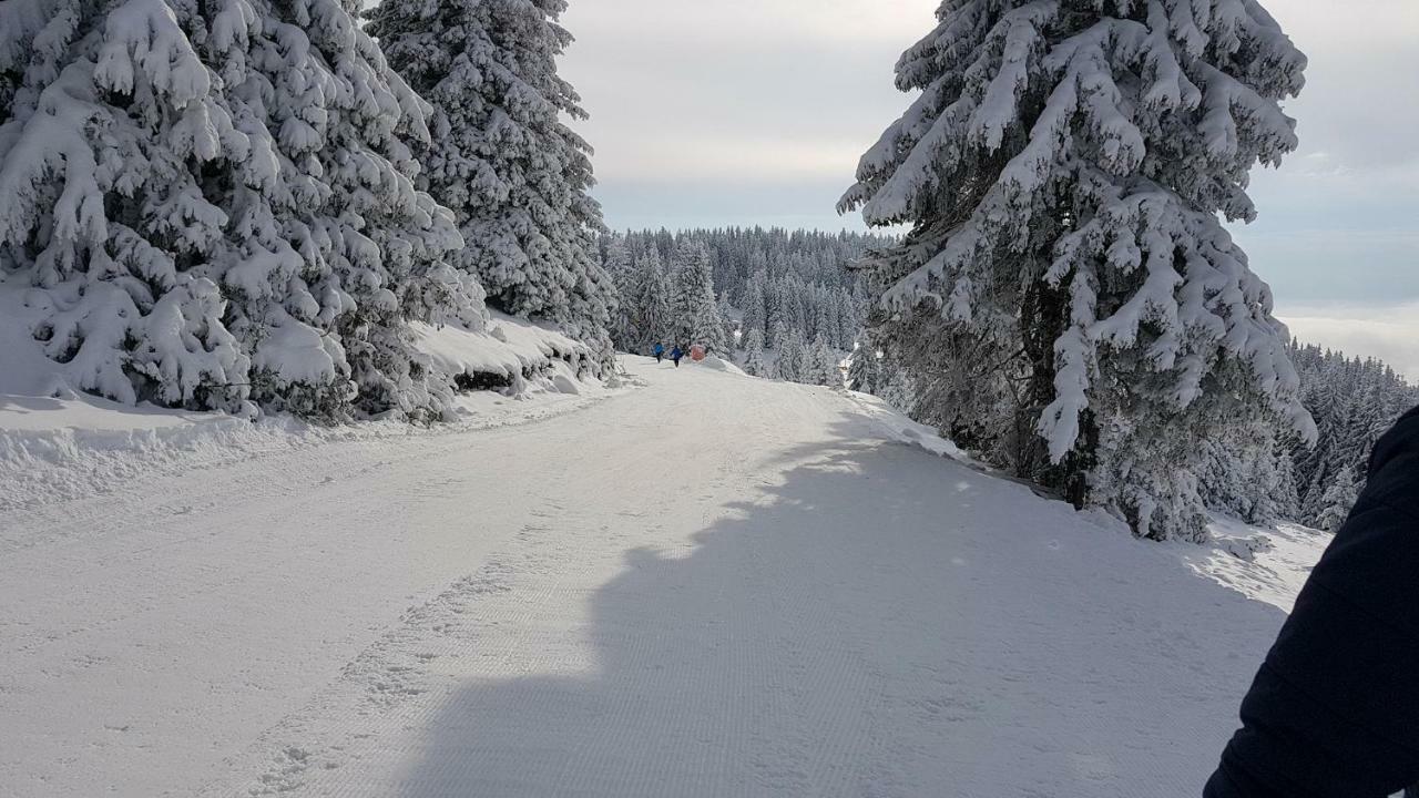 Studio Atlantic Apartment Pamporovo Luaran gambar