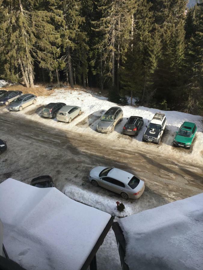 Studio Atlantic Apartment Pamporovo Luaran gambar